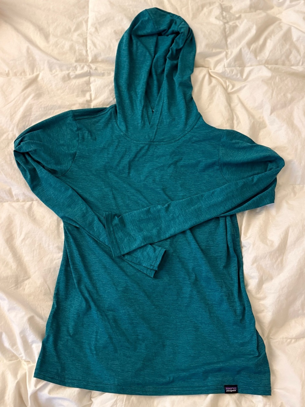 Patagonia Teal Long-Sleeve Hooded Pullover